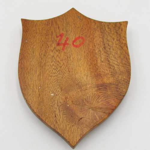 SADF 913 battalion shoulder flash plaque