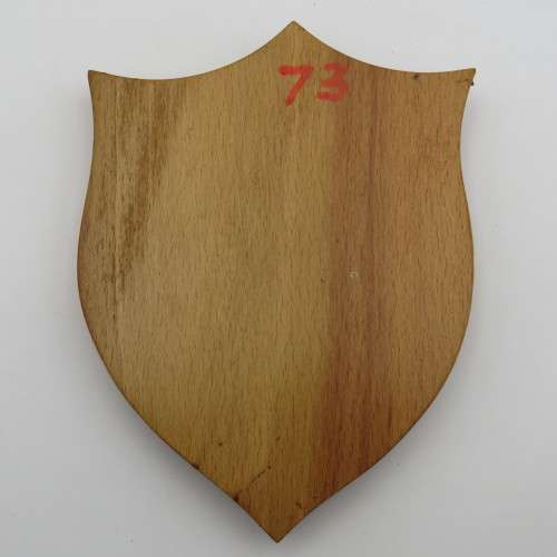 SADF Natal command signal unit shoulder flash plaque