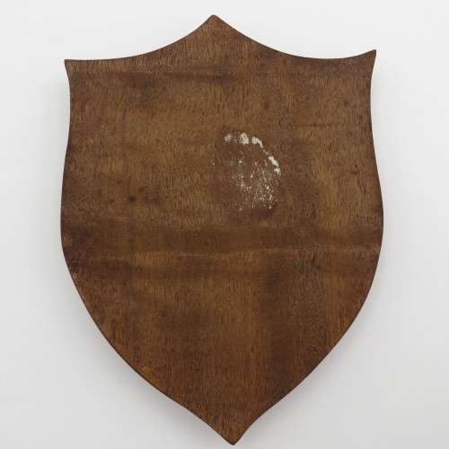 SADF Drakensberg commando shoulder flash plaque