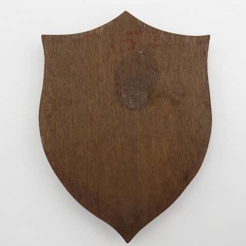 SADF Military Gymnasium shoulder flash plaque