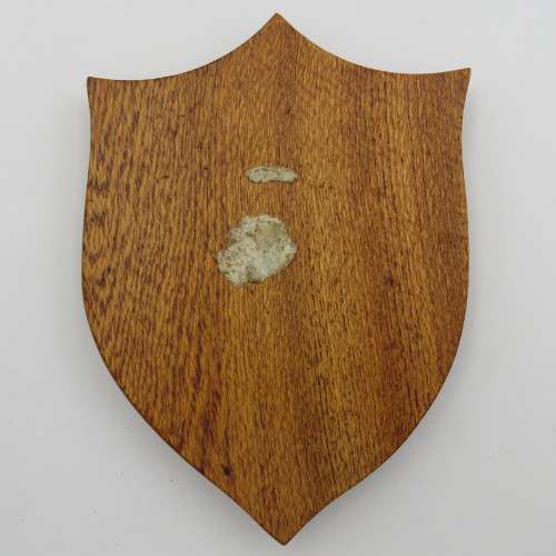 SADF school of engineers shoulder flash plaque