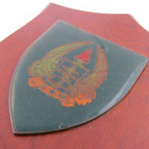 SADF Military Gymnasium shoulder flash plaque