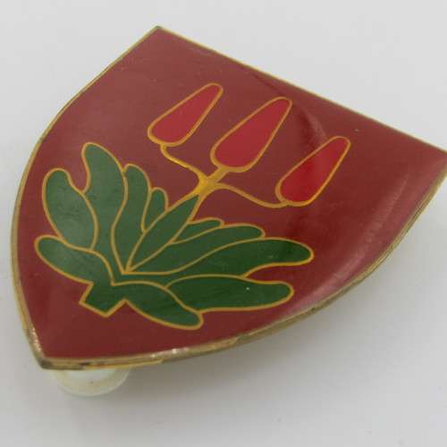 SADF East London commando shoulder flash