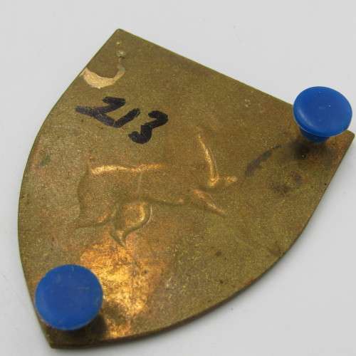 SADF Technical service Training centre shoulder flash - 2 pins
