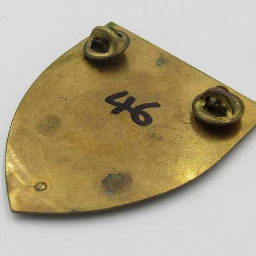 SWA sector 20 shoulder flash - 2 pins