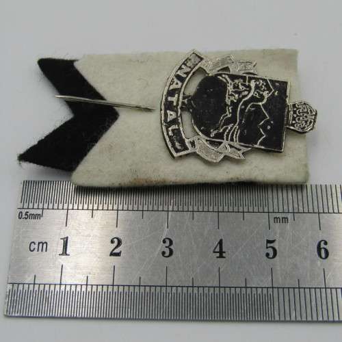 Vintage Natal Rugby pin badge