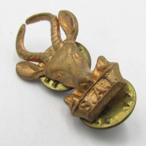 Pair of SA Infantry brass collar badges