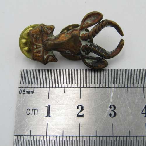 Pair of SA Infantry brass collar badges