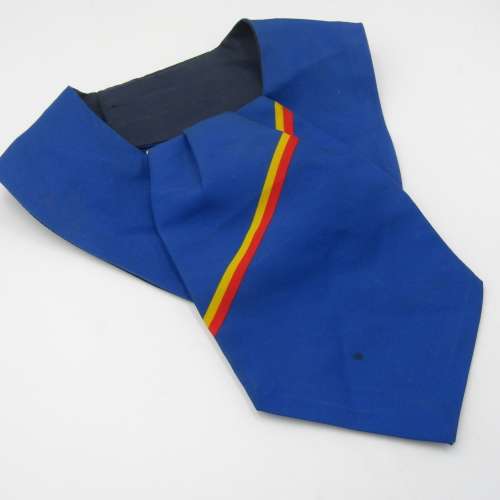 SADF Technical services corps cravat