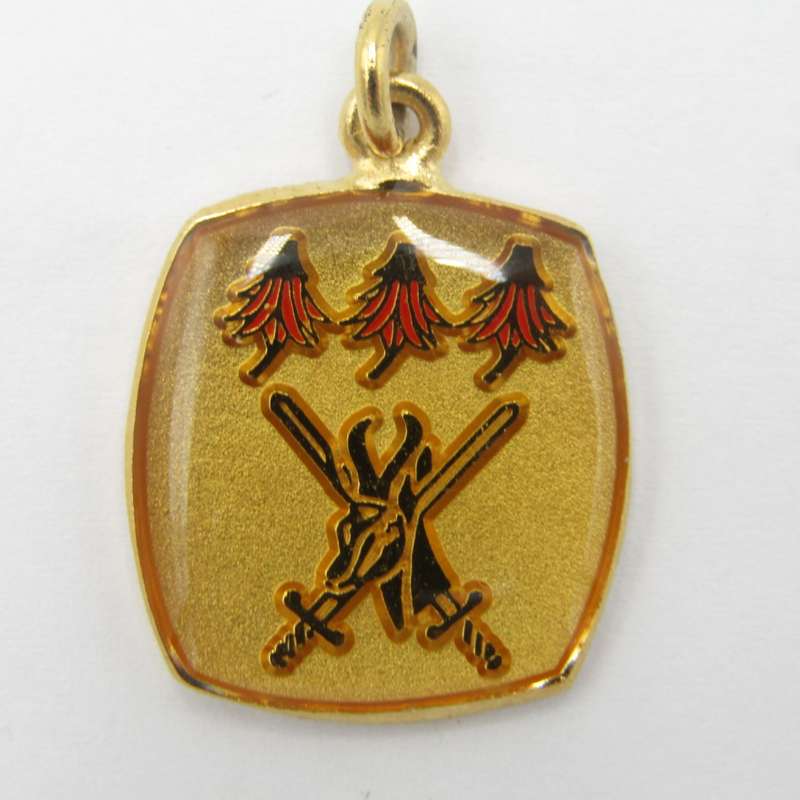 Set of SADF Far North command cufflinks and pendant