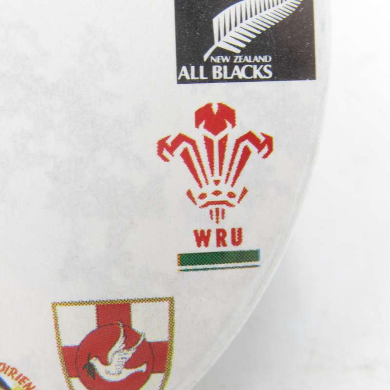 1995 Rugby World Cup teams badge