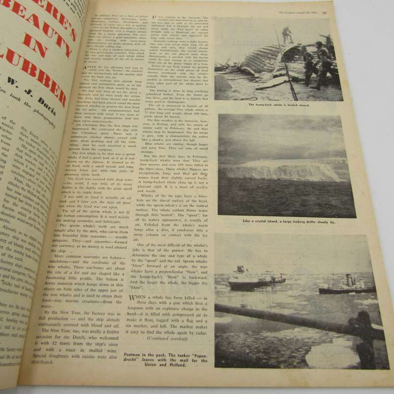 The Outspan magazine - 20 August 1954