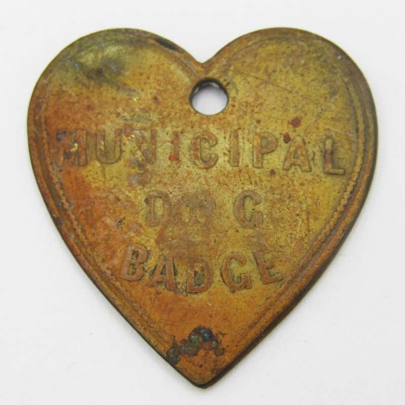 1901 Dog License marked C M ( Cape Municipality? ) heart shaped