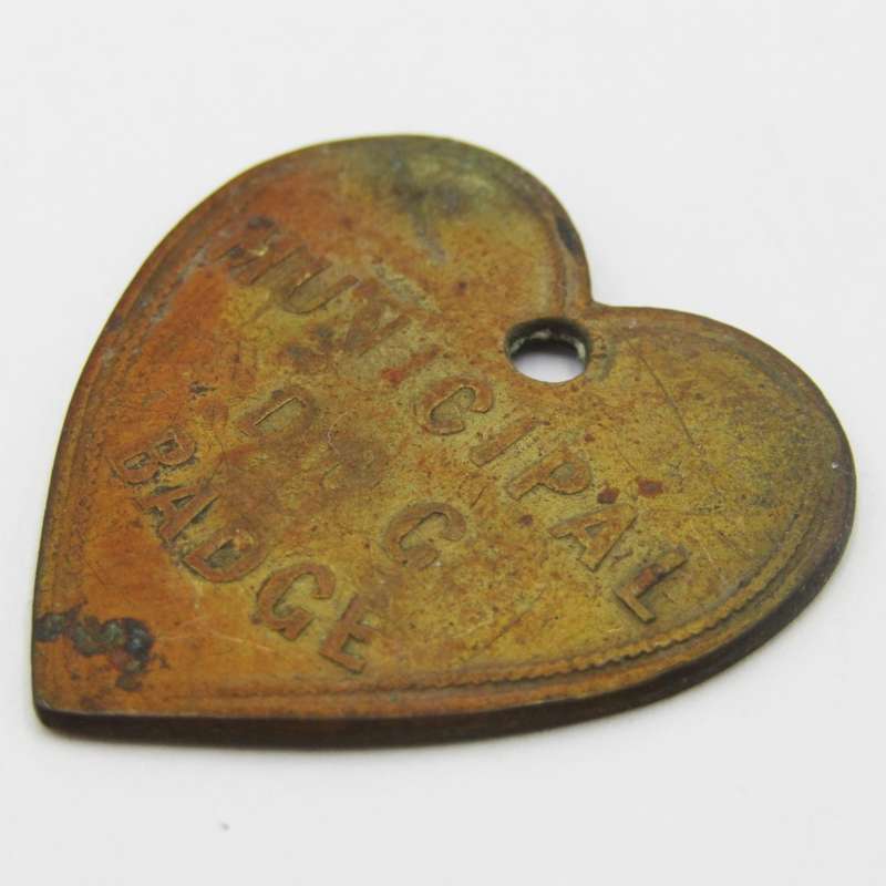 1901 Dog License marked C M ( Cape Municipality? ) heart shaped
