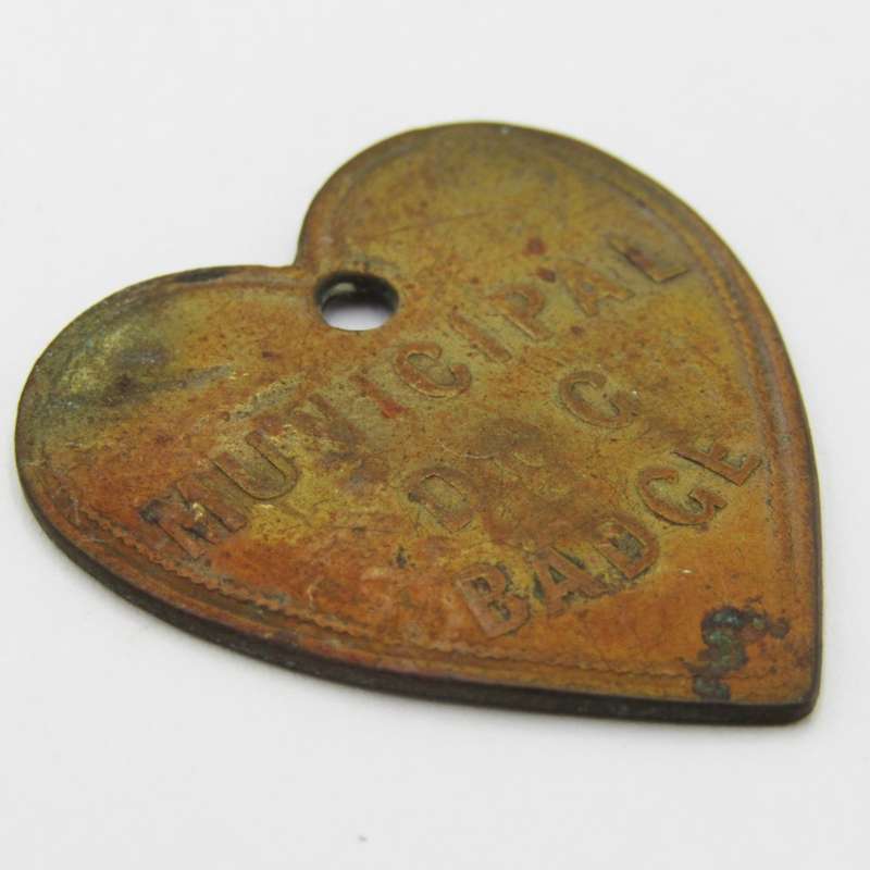 1901 Dog License marked C M ( Cape Municipality? ) heart shaped