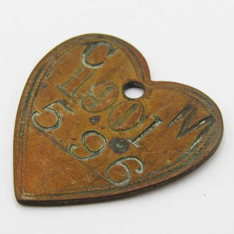 1901 Dog License marked C M ( Cape Municipality? ) heart shaped