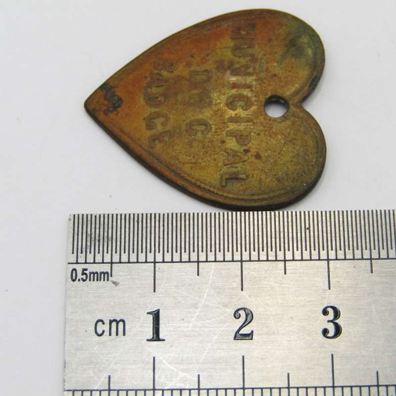 1901 Dog License marked C M ( Cape Municipality? ) heart shaped