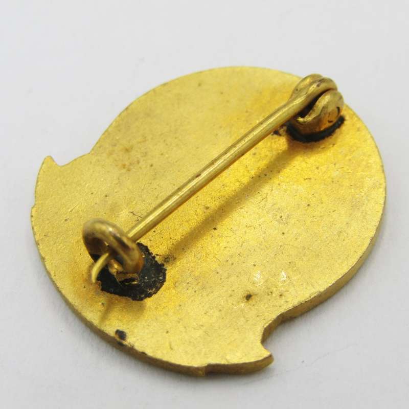 Moth club Pretoria Pin badge