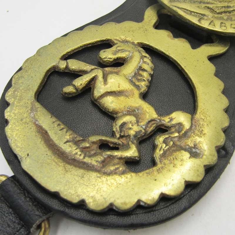 Lot of 5 Horse brasses on leather strap