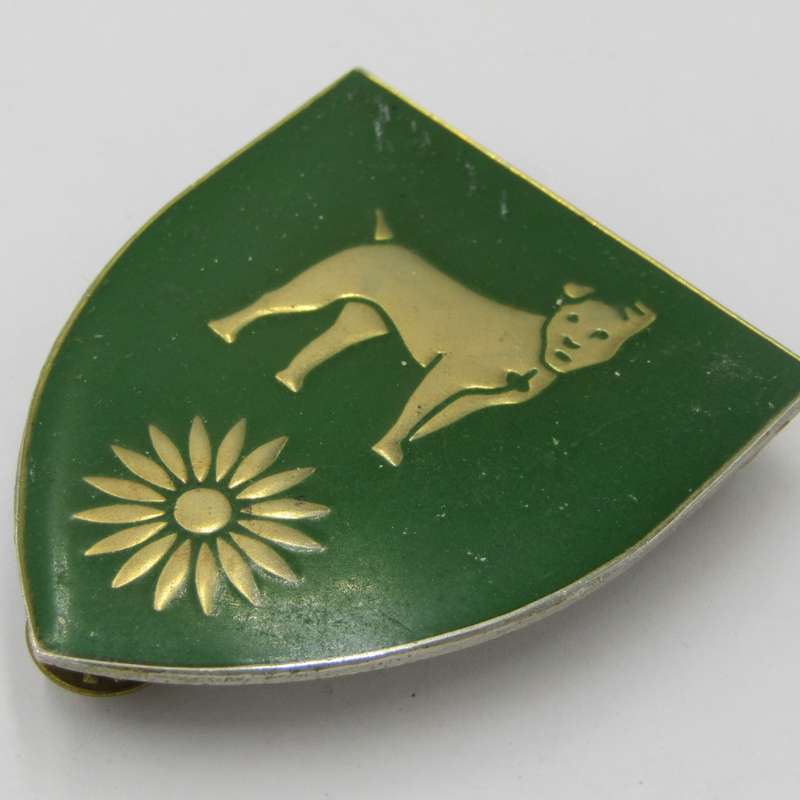 SADF Barberton commando shoulder flash