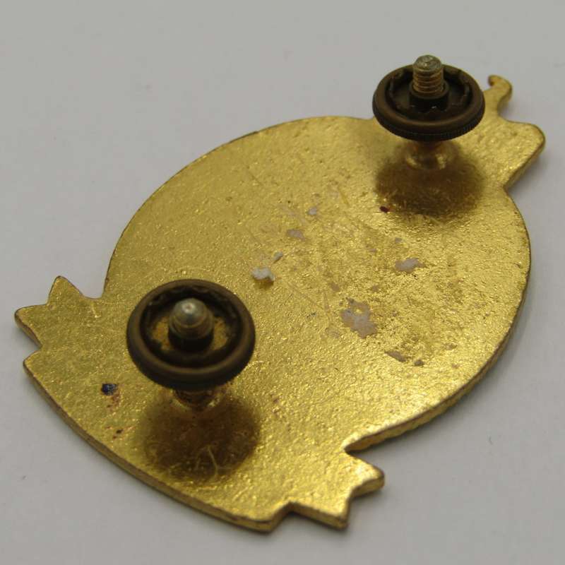 Egyption Armed Forces badge