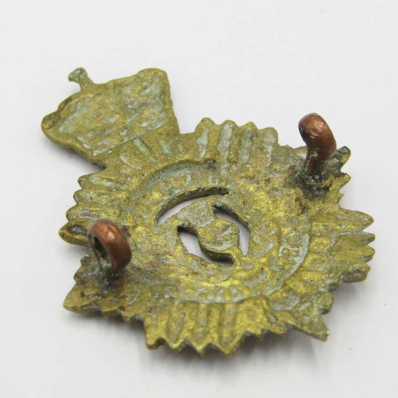 Duke of Edinburgh`s own rifles cap badge