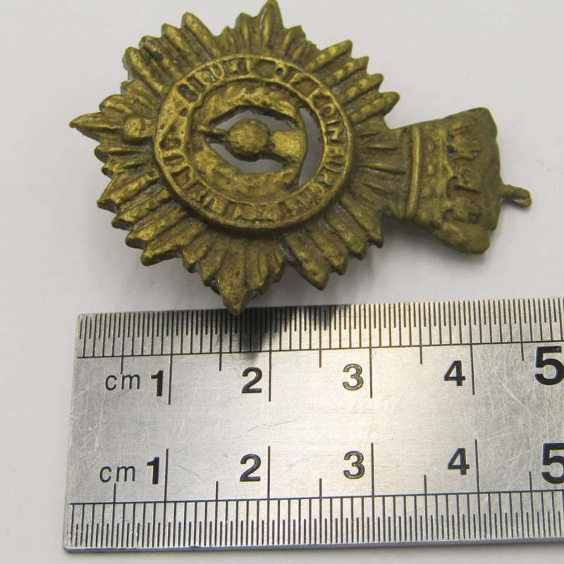 Duke of Edinburgh`s own rifles cap badge