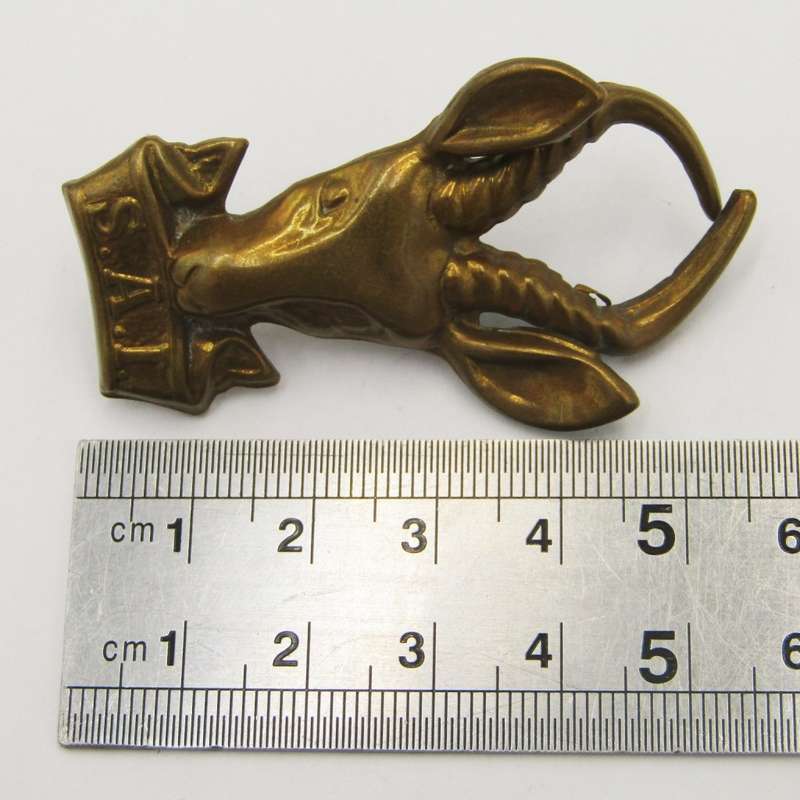 SA Infantry brass bokkop cap badge