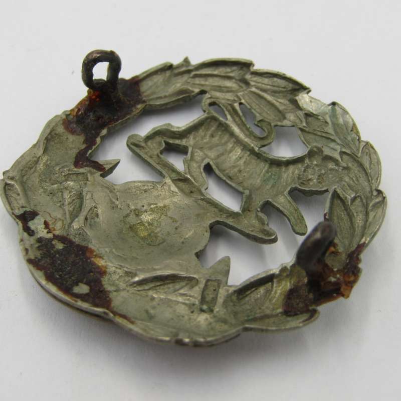 British Army Hampshire regiment cap badge