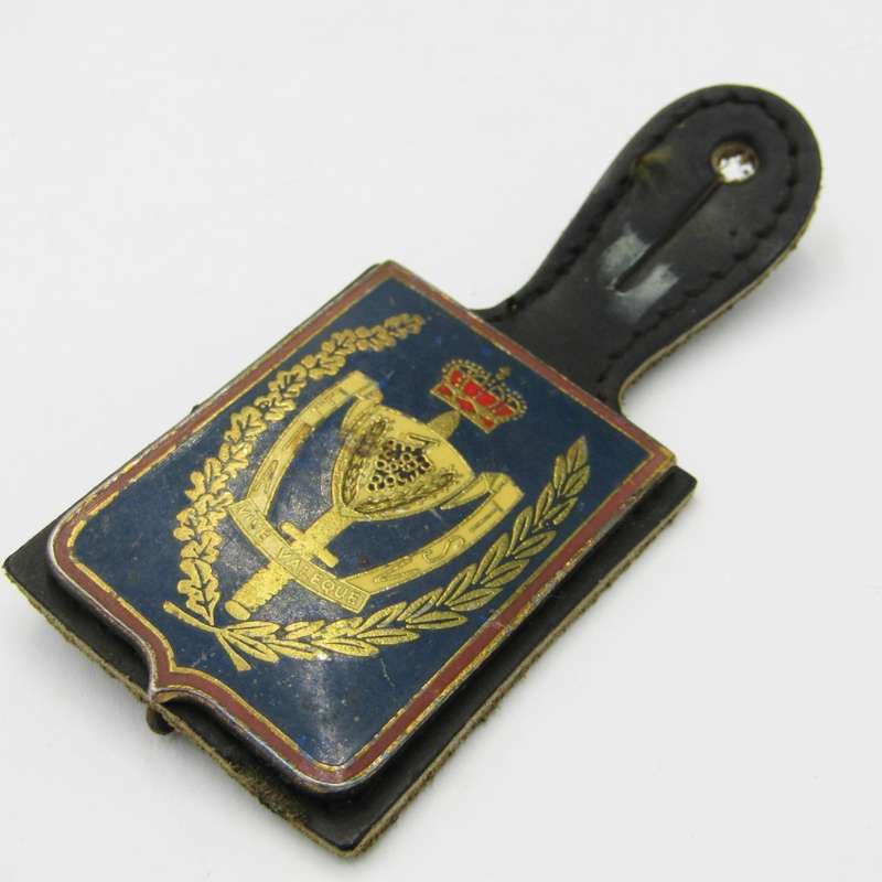 Belgium Army Technical school fob flash