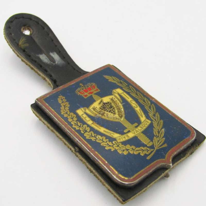 Belgium Army Technical school fob flash