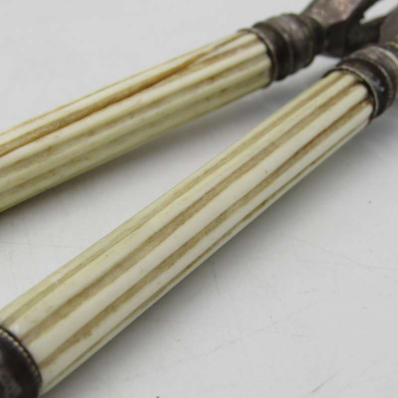 Antique nutcracker with imitation ivory handles