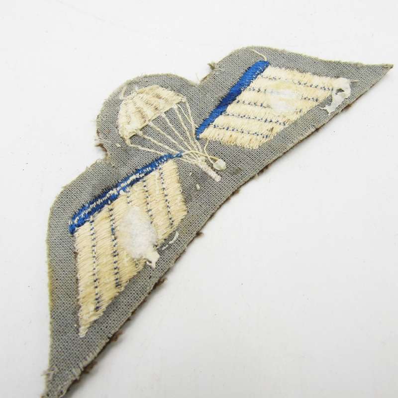 Dutch Army B parachute wing