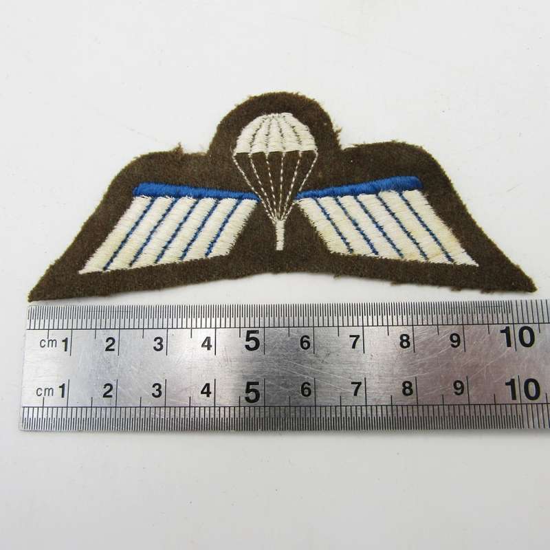 Dutch Army B parachute wing