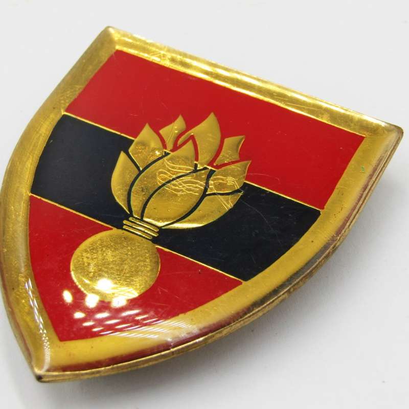 SADF School of Engineers shoulder flash
