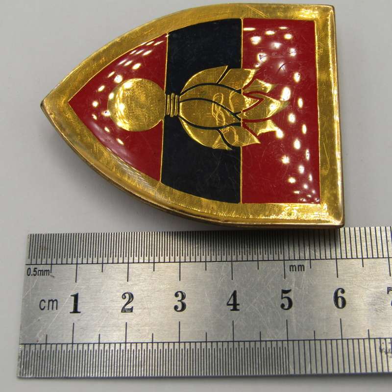 SADF School of Engineers shoulder flash