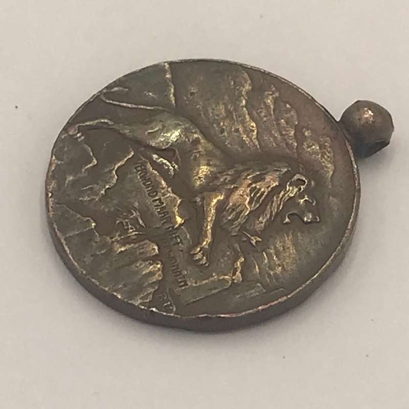 Boer War President Steijn 1902 bronze medallion
