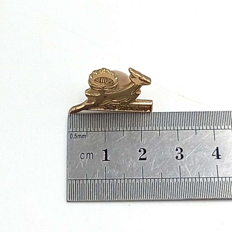 SA Rugby Springboks lapel pin badge