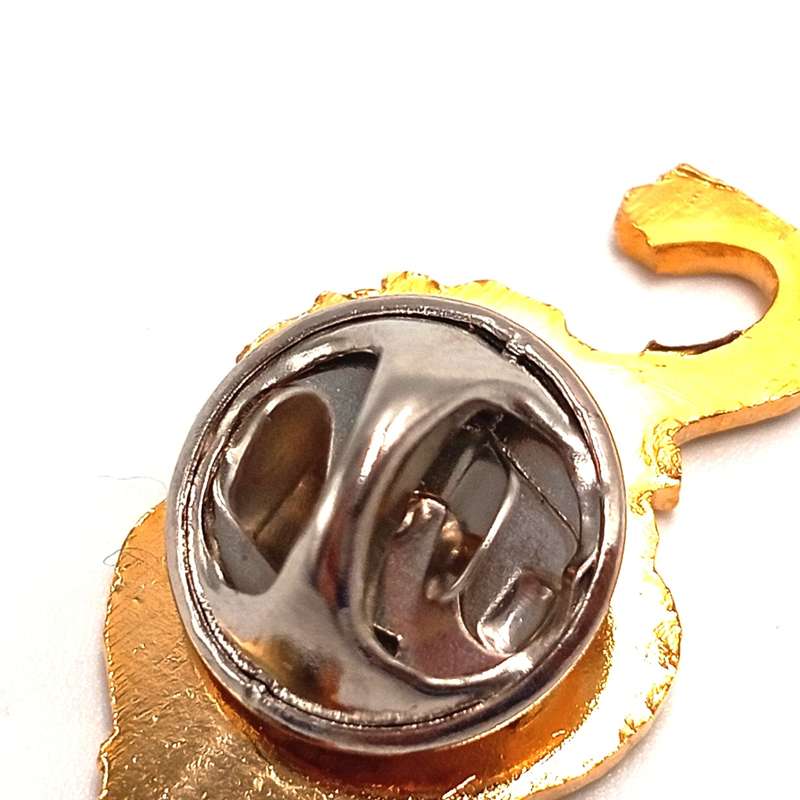 Lions Rugby pin badge