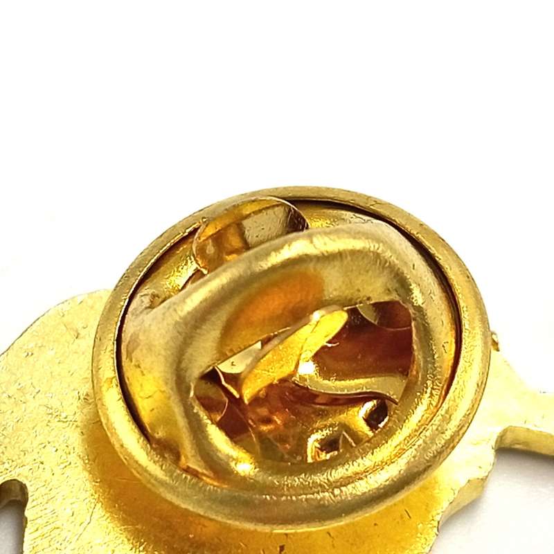 Lions Rugby pin badge