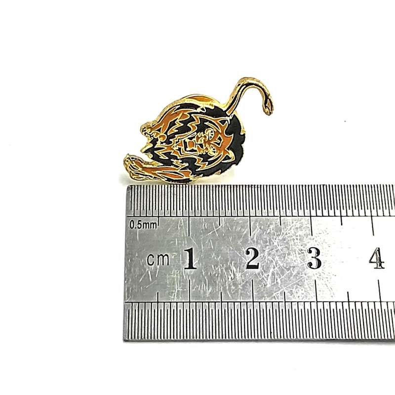 Lions Rugby pin badge