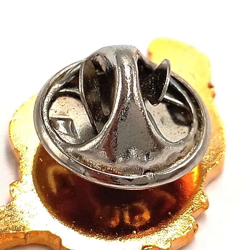 LIONS Rugby pin badge