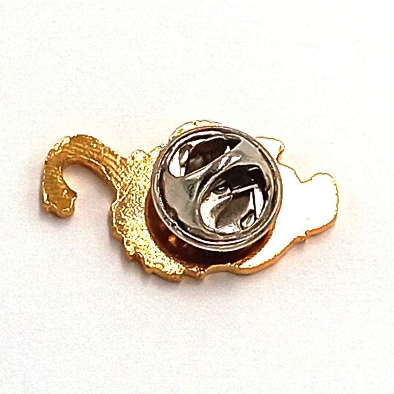 LIONS Rugby pin badge