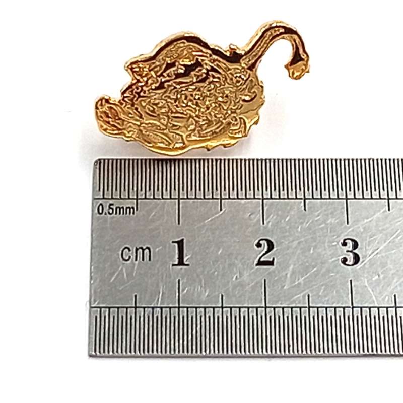 LIONS Rugby pin badge