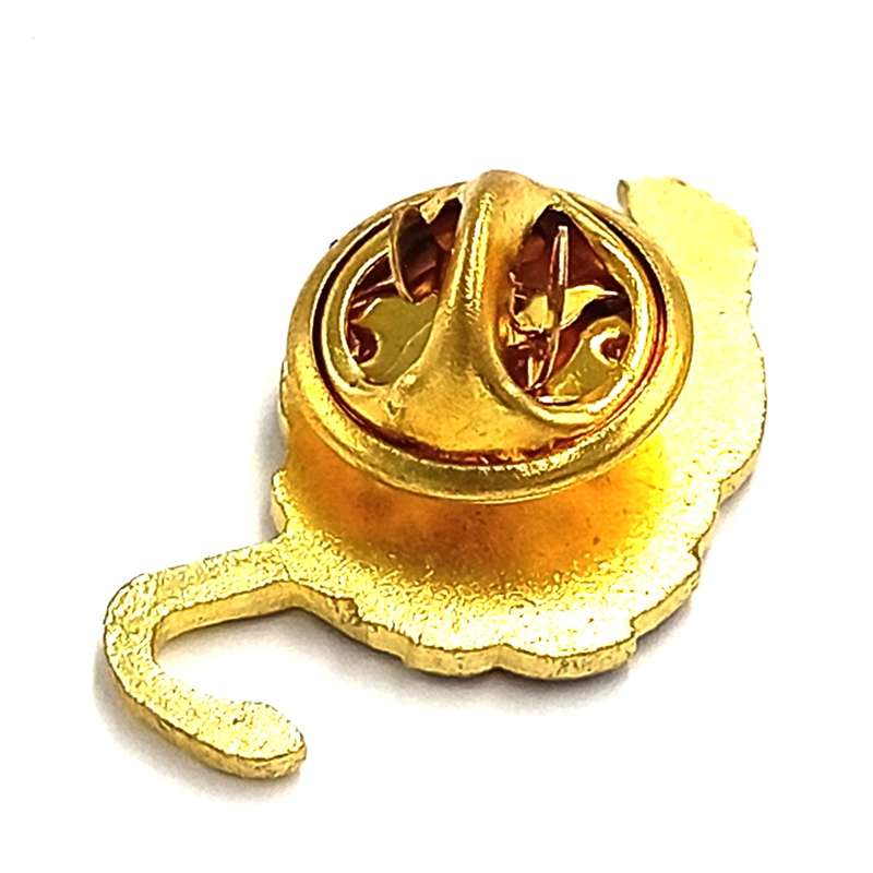 LIONS Rugby pin badge