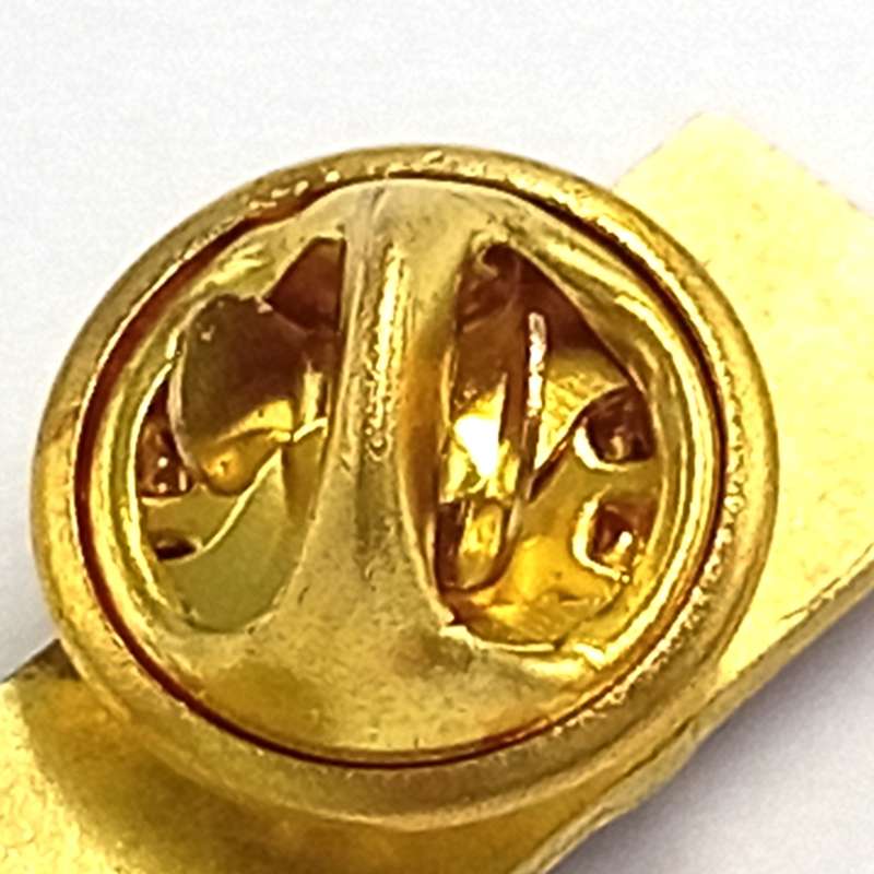 LIONS Rugby pin badge