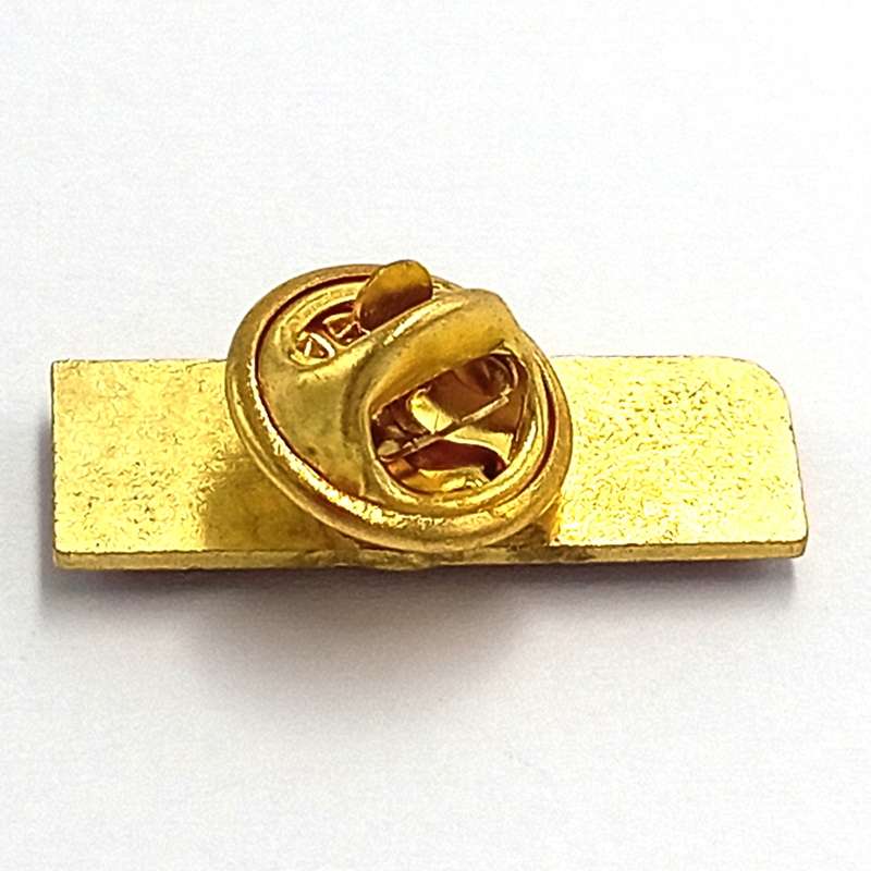 LIONS Rugby pin badge