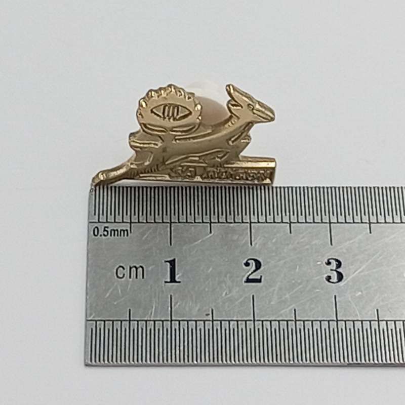 SA Rugby Springboks lapel pin badge