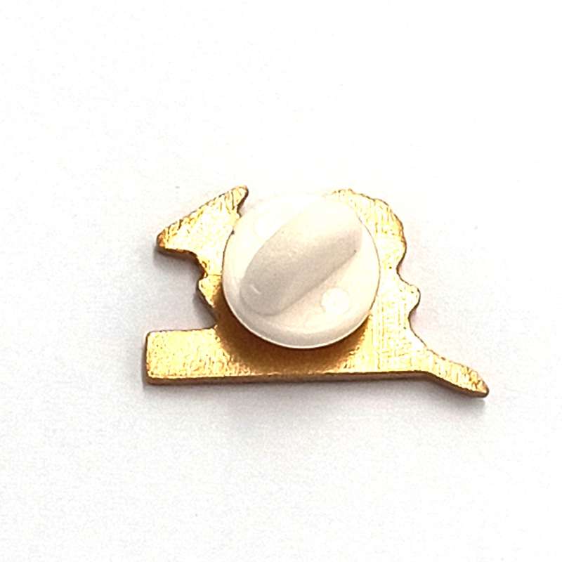 SA Rugby Springboks lapel pin badge