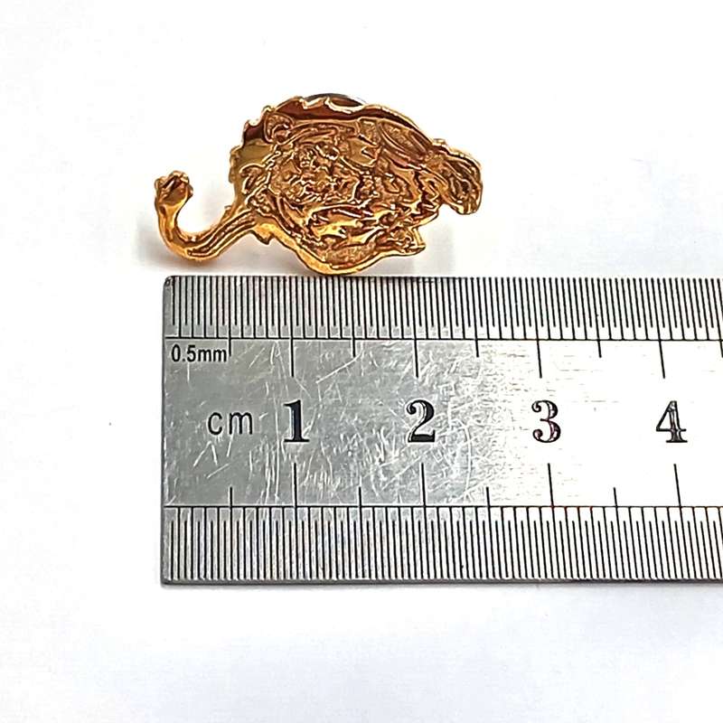 LIONS Rugby pin badge